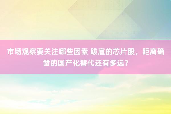 市场观察要关注哪些因素 跋扈的芯片股，距离确凿的国产化替代还有多远？