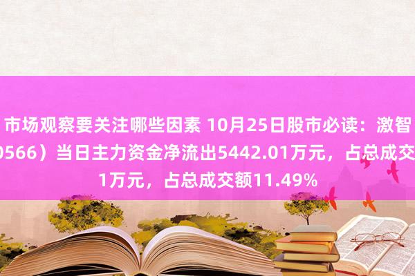 市场观察要关注哪些因素 10月25日股市必读：激智科技（300566）当日主力资金净流出5442.01万元，占总成交额11.49%