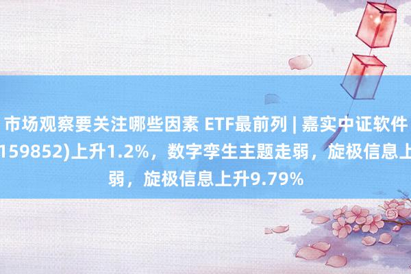 市场观察要关注哪些因素 ETF最前列 | 嘉实中证软件就业ETF(159852)上升1.2%，数字孪生主题走弱，旋极信息上升9.79%