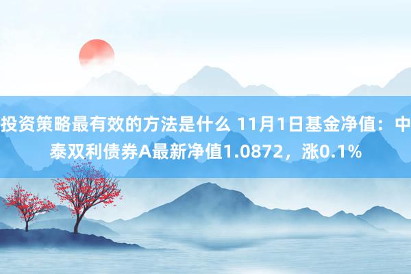 投资策略最有效的方法是什么 11月1日基金净值：中泰双利债券A最新净值1.0872，涨0.1%