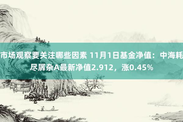 市场观察要关注哪些因素 11月1日基金净值：中海耗尽羼杂A最新净值2.912，涨0.45%