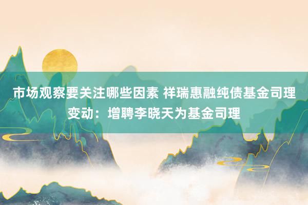 市场观察要关注哪些因素 祥瑞惠融纯债基金司理变动：增聘李晓天为基金司理