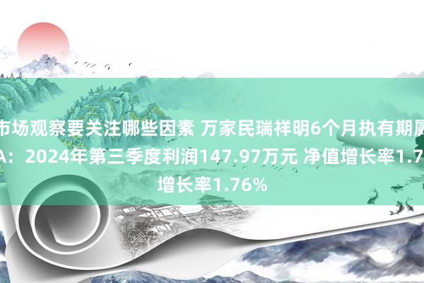 市场观察要关注哪些因素 万家民瑞祥明6个月执有期羼杂A：2024年第三季度利润147.97万元 净值增长率1.76%