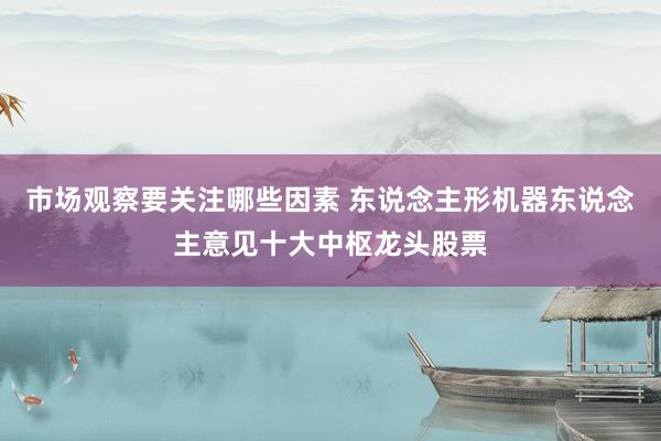 市场观察要关注哪些因素 东说念主形机器东说念主意见十大中枢龙头股票