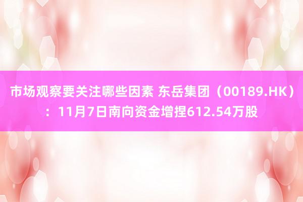 市场观察要关注哪些因素 东岳集团（00189.HK）：11月7日南向资金增捏612.54万股