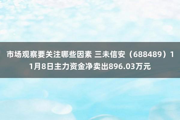 市场观察要关注哪些因素 三未信安（688489）11月8日主力资金净卖出896.03万元