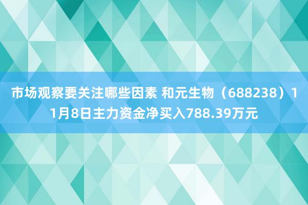 市场观察要关注哪些因素 和元生物（688238）11月8日主力资金净买入788.39万元