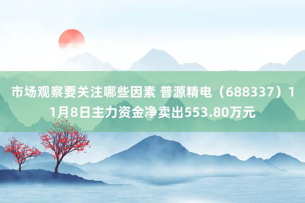 市场观察要关注哪些因素 普源精电（688337）11月8日主力资金净卖出553.80万元