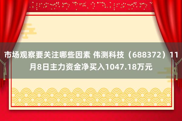 市场观察要关注哪些因素 伟测科技（688372）11月8日主力资金净买入1047.18万元