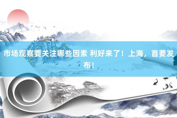 市场观察要关注哪些因素 利好来了！上海，首要发布！