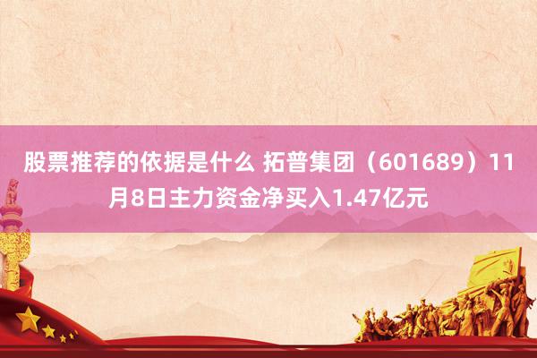 股票推荐的依据是什么 拓普集团（601689）11月8日主力资金净买入1.47亿元