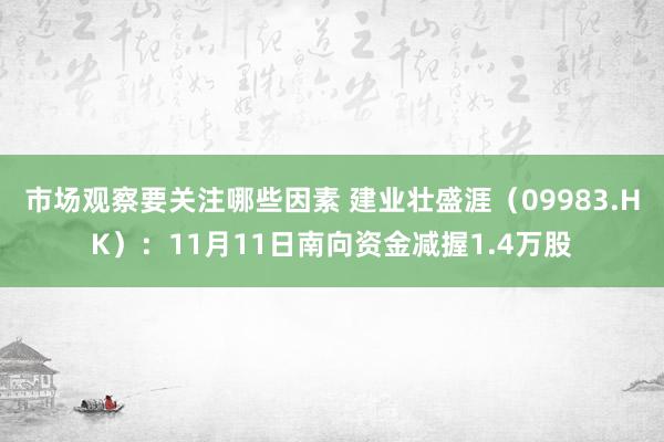 市场观察要关注哪些因素 建业壮盛涯（09983.HK）：11月11日南向资金减握1.4万股