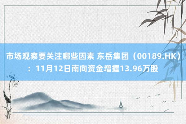 市场观察要关注哪些因素 东岳集团（00189.HK）：11月12日南向资金增握13.96万股