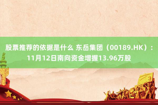 股票推荐的依据是什么 东岳集团（00189.HK）：11月12日南向资金增握13.96万股