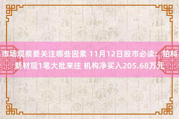 市场观察要关注哪些因素 11月12日股市必读：铂科新材现1笔大批来往 机构净买入205.68万元