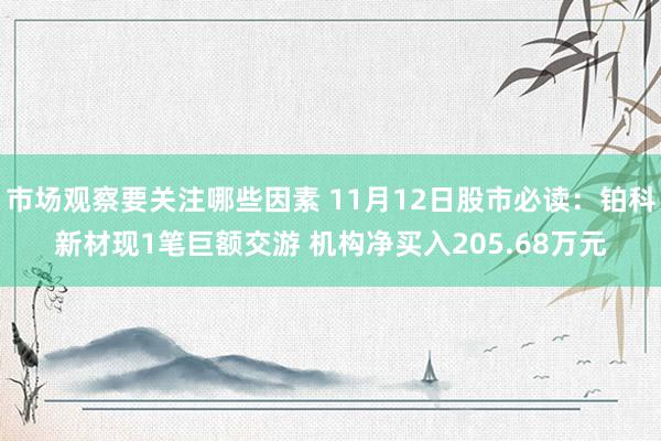 市场观察要关注哪些因素 11月12日股市必读：铂科新材现1笔巨额交游 机构净买入205.68万元