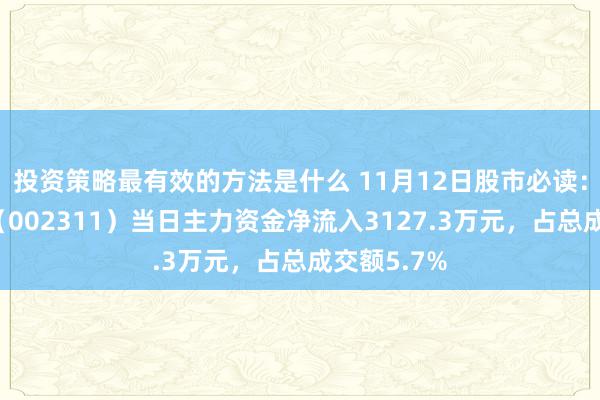 投资策略最有效的方法是什么 11月12日股市必读：海大集团（002311）当日主力资金净流入3127.3万元，占总成交额5.7%