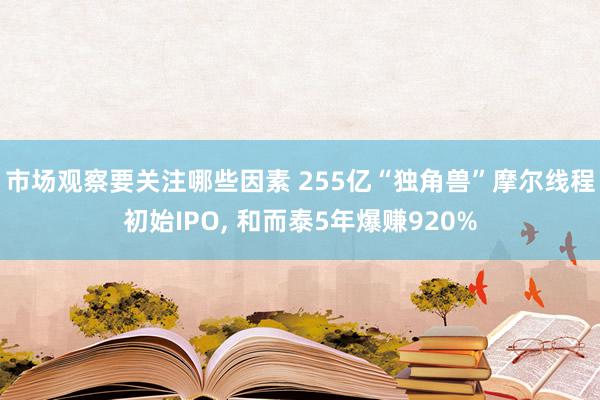 市场观察要关注哪些因素 255亿“独角兽”摩尔线程初始IPO, 和而泰5年爆赚920%