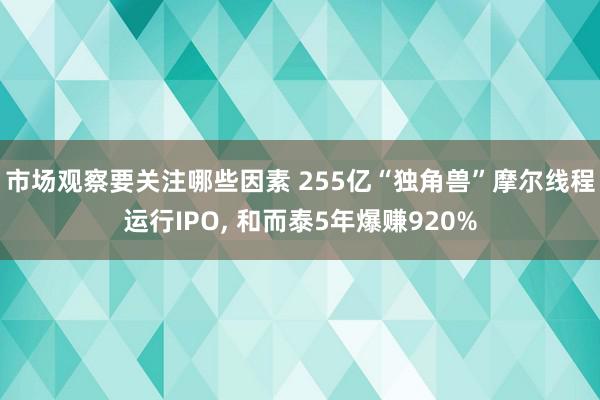 市场观察要关注哪些因素 255亿“独角兽”摩尔线程运行IPO, 和而泰5年爆赚920%