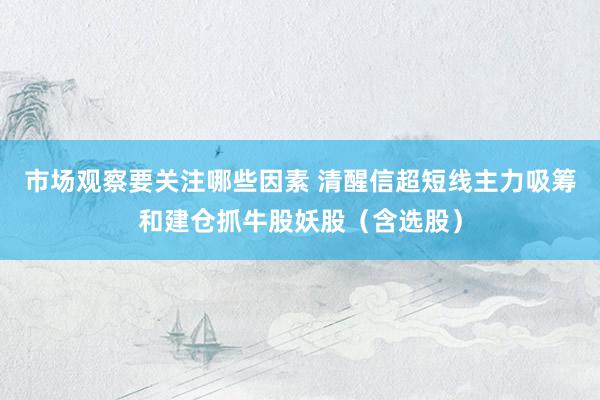 市场观察要关注哪些因素 清醒信超短线主力吸筹和建仓抓牛股妖股（含选股）