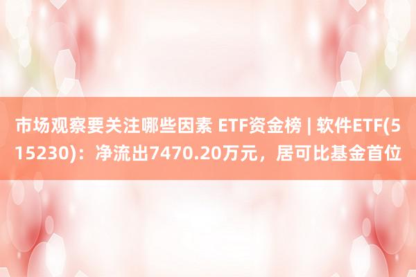 市场观察要关注哪些因素 ETF资金榜 | 软件ETF(515230)：净流出7470.20万元，居可比基金首位