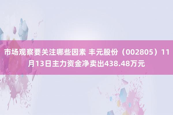 市场观察要关注哪些因素 丰元股份（002805）11月13日主力资金净卖出438.48万元