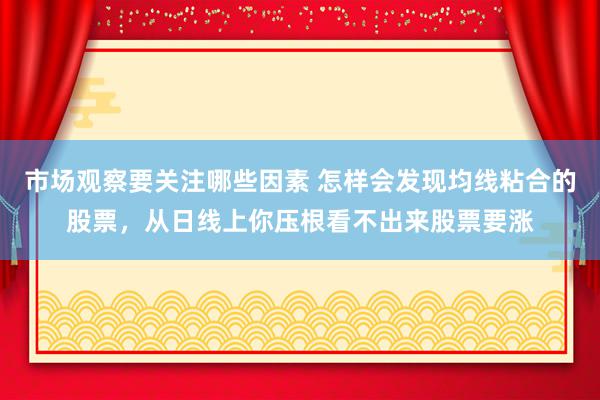 市场观察要关注哪些因素 怎样会发现均线粘合的股票，从日线上你压根看不出来股票要涨