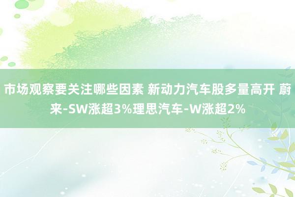 市场观察要关注哪些因素 新动力汽车股多量高开 蔚来-SW涨超3%理思汽车-W涨超2%