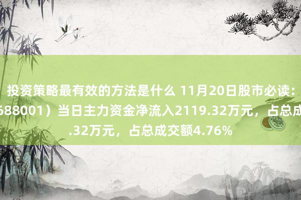 投资策略最有效的方法是什么 11月20日股市必读：华兴源创（688001）当日主力资金净流入2119.32万元，占总成交额4.76%