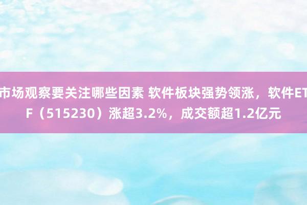 市场观察要关注哪些因素 软件板块强势领涨，软件ETF（515230）涨超3.2%，成交额超1.2亿元