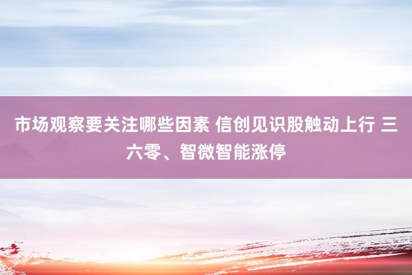 市场观察要关注哪些因素 信创见识股触动上行 三六零、智微智能涨停