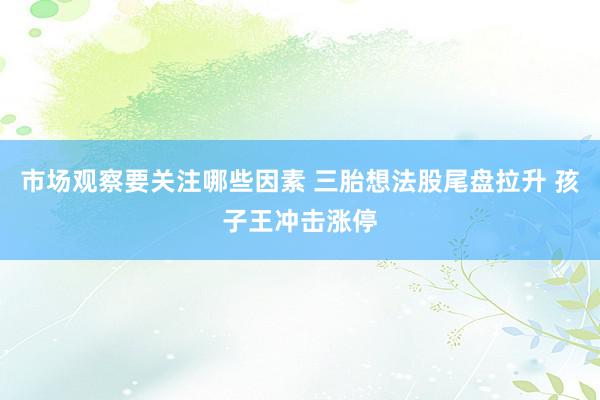 市场观察要关注哪些因素 三胎想法股尾盘拉升 孩子王冲击涨停