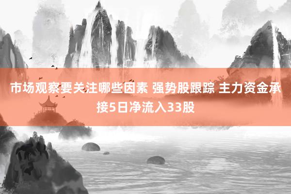 市场观察要关注哪些因素 强势股跟踪 主力资金承接5日净流入33股