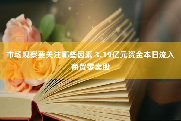 市场观察要关注哪些因素 3.19亿元资金本日流入商贸零卖股