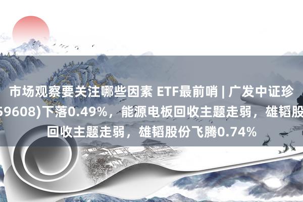 市场观察要关注哪些因素 ETF最前哨 | 广发中证珍稀金属ETF(159608)下落0.49%，能源电板回收主题走弱，雄韬股份飞腾0.74%