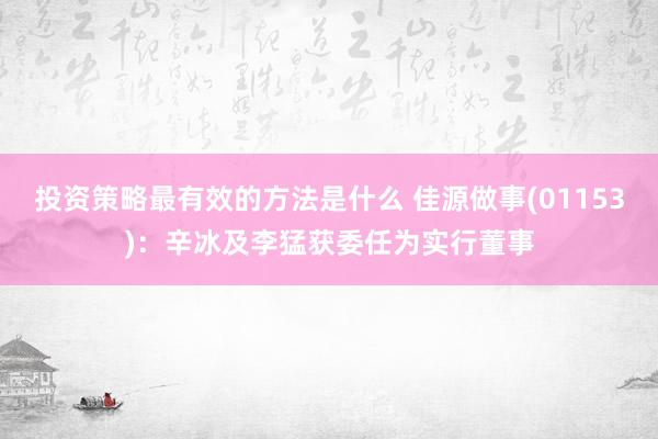 投资策略最有效的方法是什么 佳源做事(01153)：辛冰及李猛获委任为实行董事