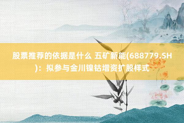 股票推荐的依据是什么 五矿新能(688779.SH)：拟参与金川镍钴增资扩股样式