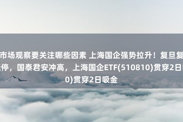 市场观察要关注哪些因素 上海国企强势拉升！复旦复华涨停，国泰君安冲高，上海国企ETF(510810)贯穿2日吸金