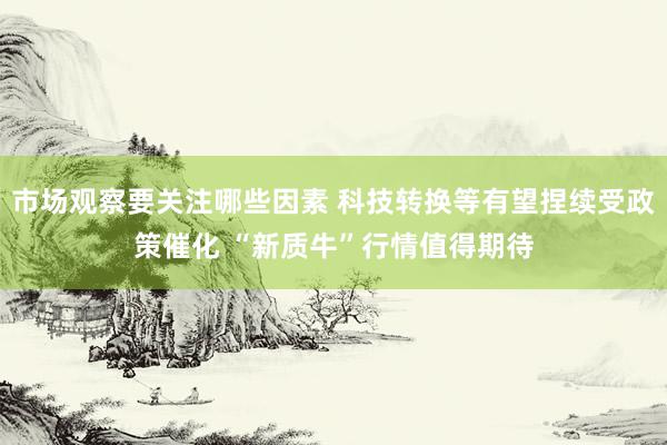 市场观察要关注哪些因素 科技转换等有望捏续受政策催化 “新质牛”行情值得期待