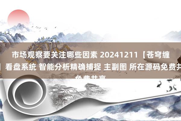 市场观察要关注哪些因素 20241211【苍穹缠论】看盘系统 智能分析精确捕捉 主副图 所在源码免费共享