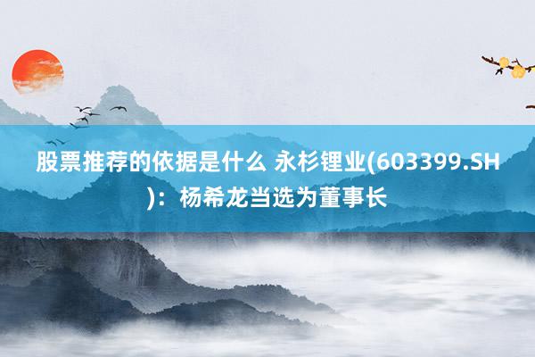 股票推荐的依据是什么 永杉锂业(603399.SH)：杨希龙当选为董事长