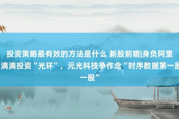 投资策略最有效的方法是什么 新股前瞻|身负阿里、滴滴投资“光环”，元光科技争作念“时序数据第一股”