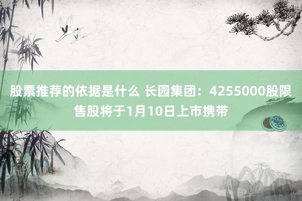 股票推荐的依据是什么 长园集团：4255000股限售股将于1月10日上市携带