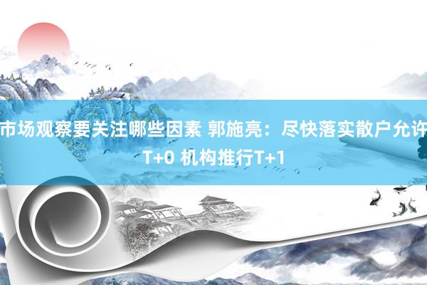 市场观察要关注哪些因素 郭施亮：尽快落实散户允许T+0 机构推行T+1