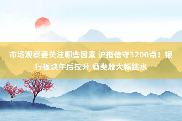 市场观察要关注哪些因素 沪指信守3200点！银行板块午后拉升 酒类股大幅跳水