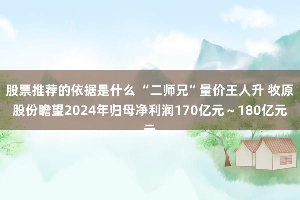 股票推荐的依据是什么 “二师兄”量价王人升 牧原股份瞻望2024年归母净利润170亿元～180亿元