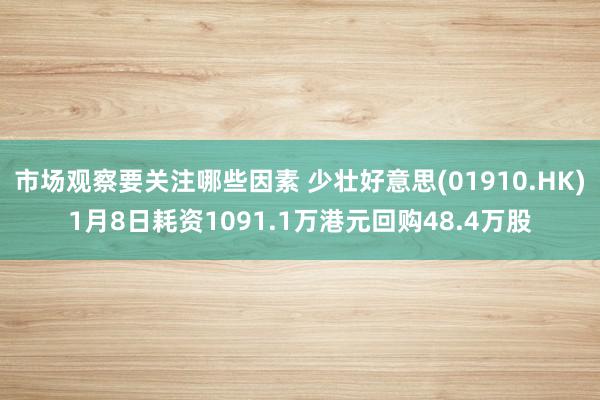 市场观察要关注哪些因素 少壮好意思(01910.HK)1月8日耗资1091.1万港元回购48.4万股