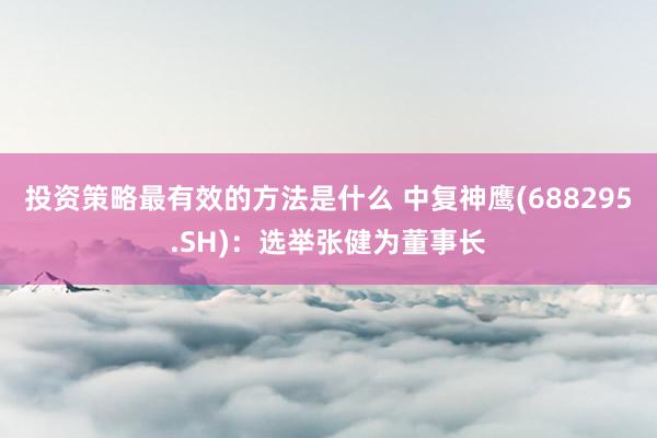 投资策略最有效的方法是什么 中复神鹰(688295.SH)：选举张健为董事长