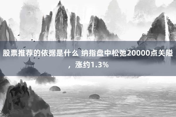 股票推荐的依据是什么 纳指盘中松弛20000点关隘，涨约1.3%