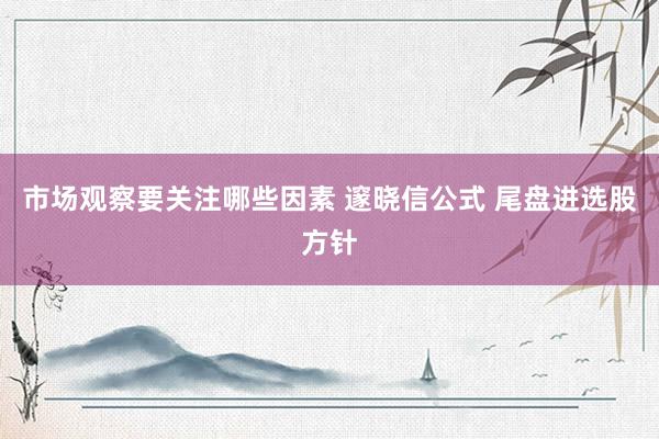 市场观察要关注哪些因素 邃晓信公式 尾盘进选股方针